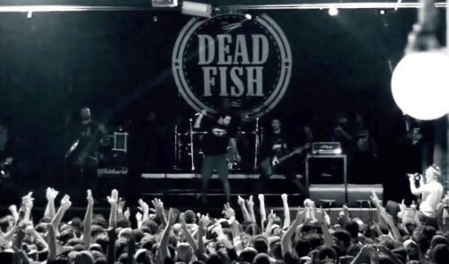 dead-fish-no-oxigenio